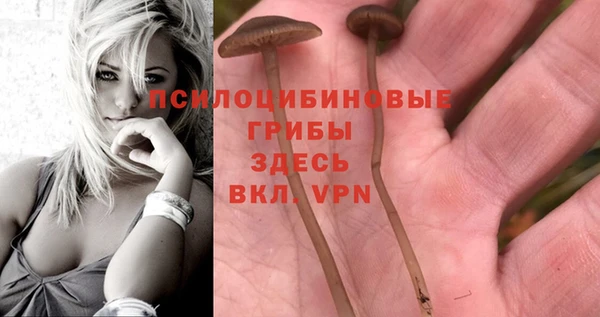 СК Медвежьегорск