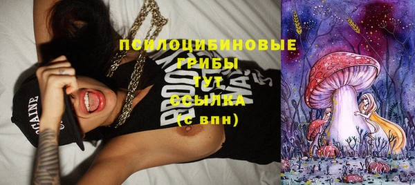 спиды Мегион