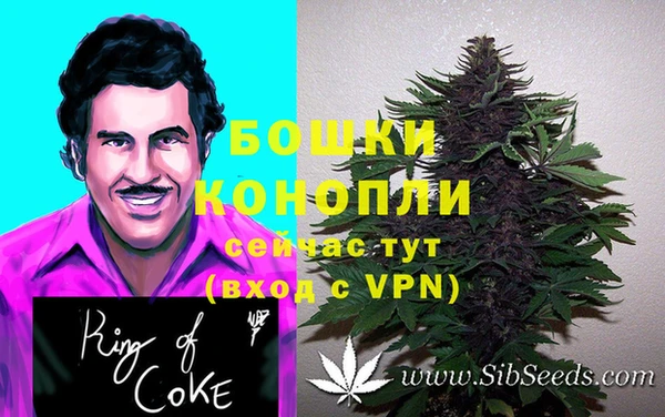 стаф Михайловка